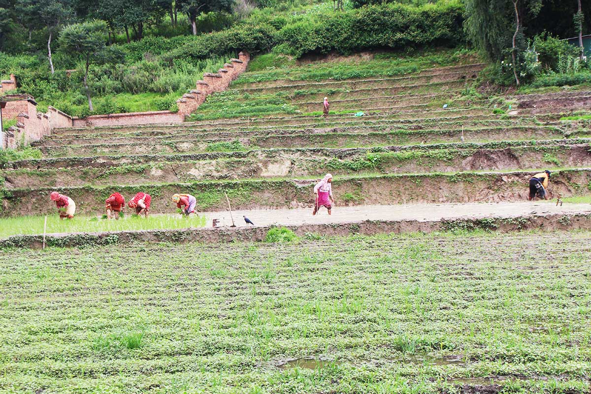 A Flat Hike Through History and Culture in the Kathmandu Valley