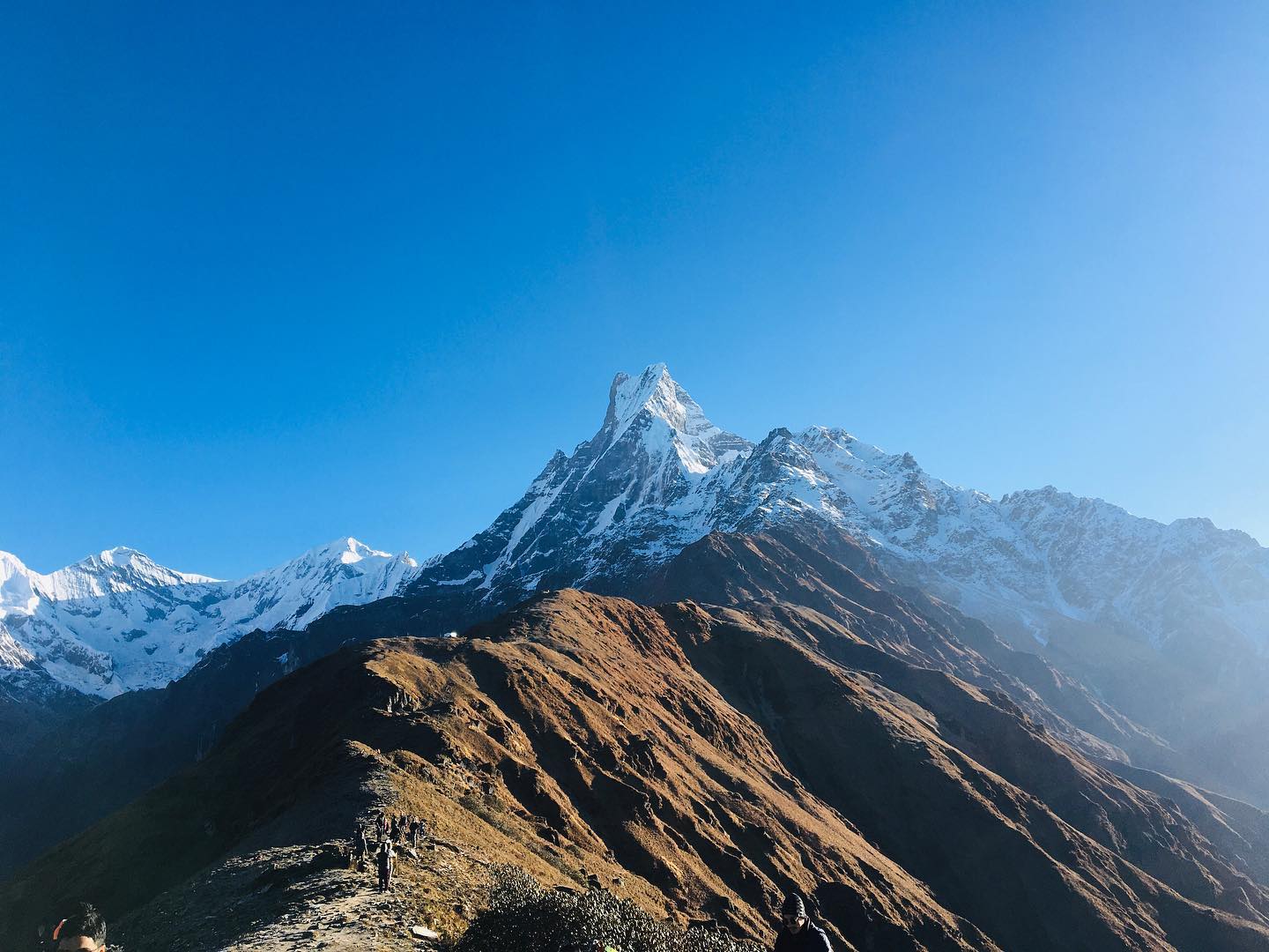 9 days Mardi Himal Trekking