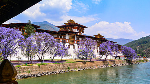 Punakha-Dzong