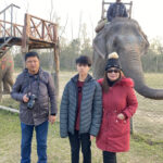 Chitwan national park, elephant-ride