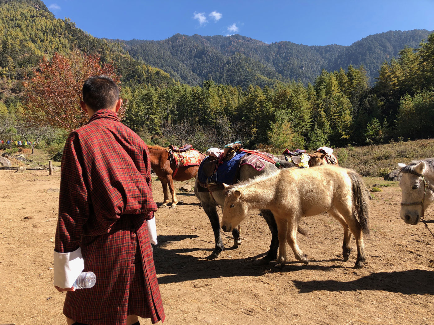 Horse/Pony ride during Tiger's Nest Hike