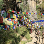 prayer-flags-in-bhutan-tour